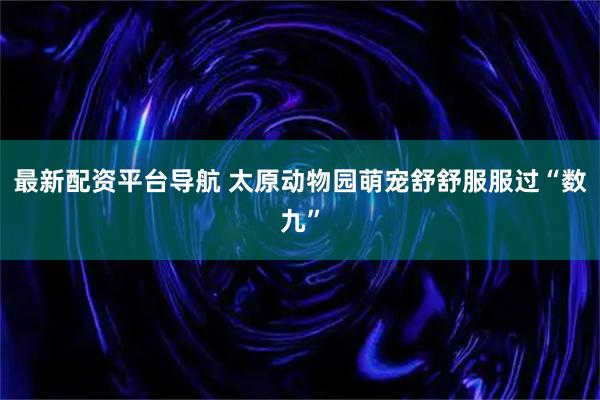 最新配资平台导航 太原动物园萌宠舒舒服服过“数九”