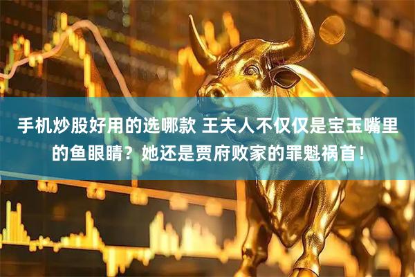 手机炒股好用的选哪款 王夫人不仅仅是宝玉嘴里的鱼眼睛？她还是贾府败家的罪魁祸首！